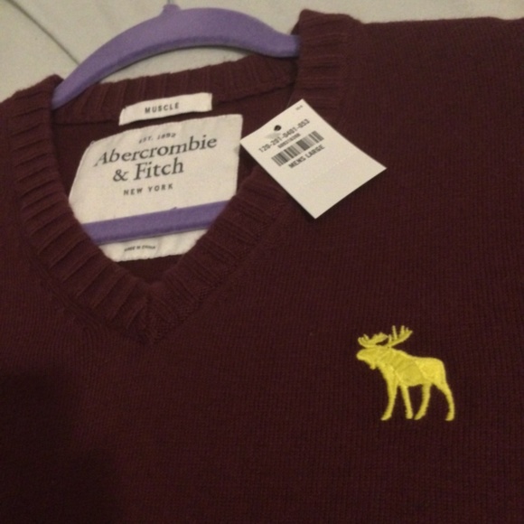 Men’s LARGE Burgundy Abercrombie & Fitch V-Neck Sweater - Picture 2 of 5